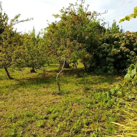 Apartamento Apartment With One Bedroom In A Guarda A Guarda