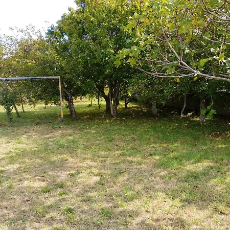 Apartamento Apartment With One Bedroom In A Guarda